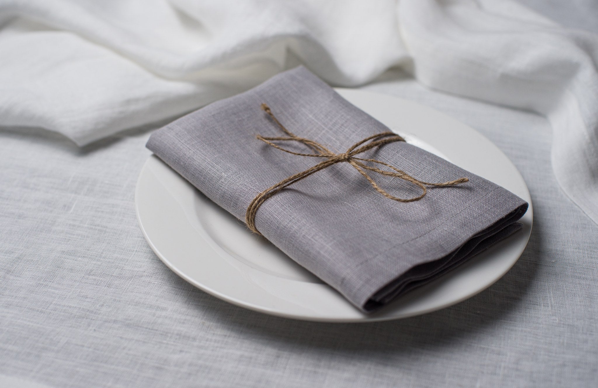Light Grey linen napkin tied with jute twine on a white plate, side view