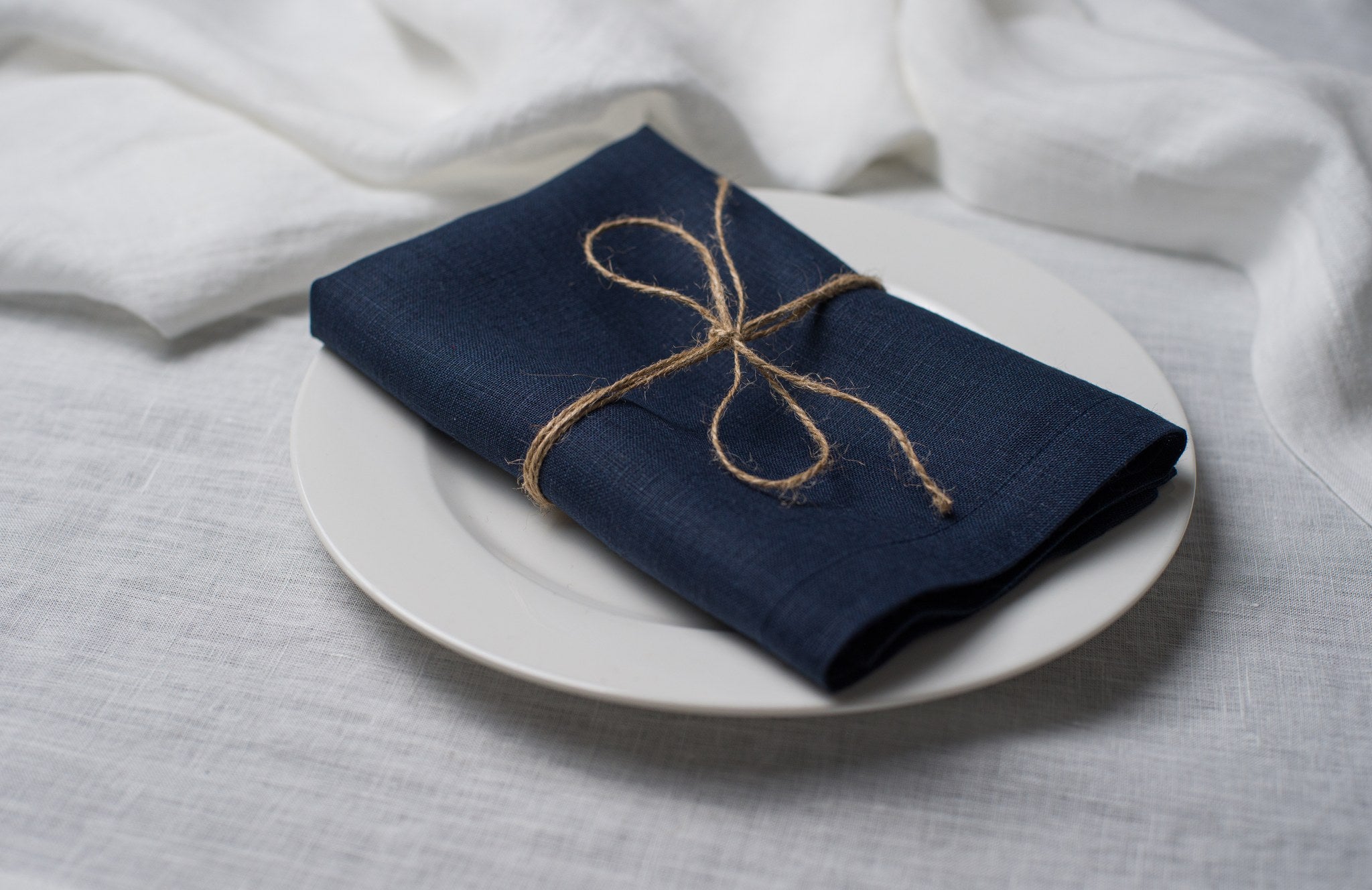 Old Navy linen napkin tied with jute twine on a white plate, side view