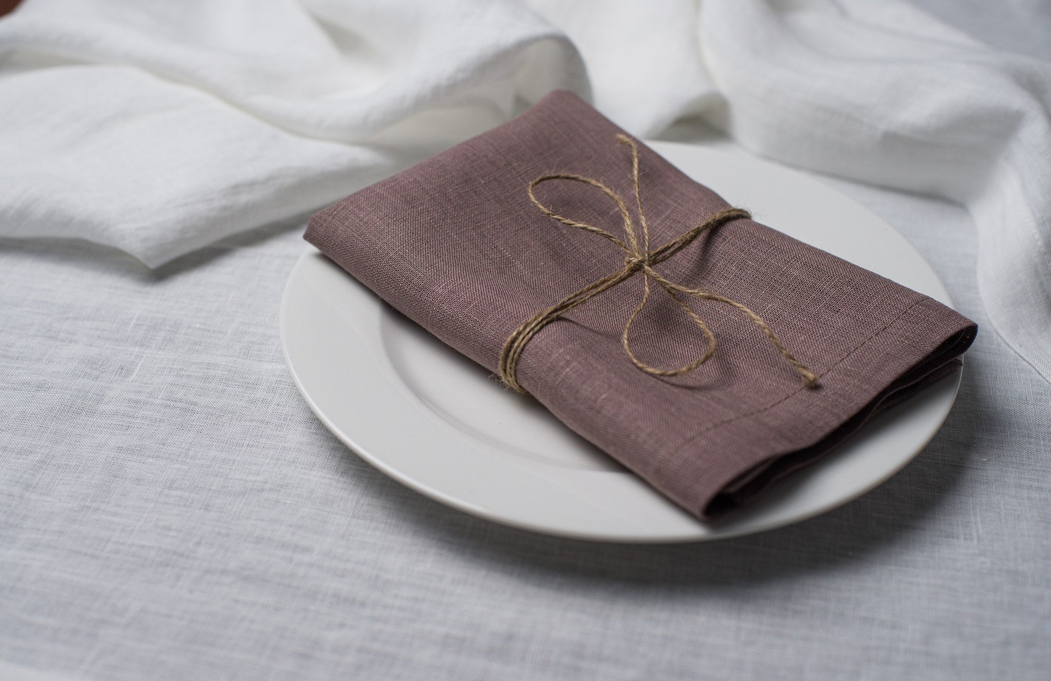 Limed Oak linen napkin tied with jute twine on a white plate, side view
