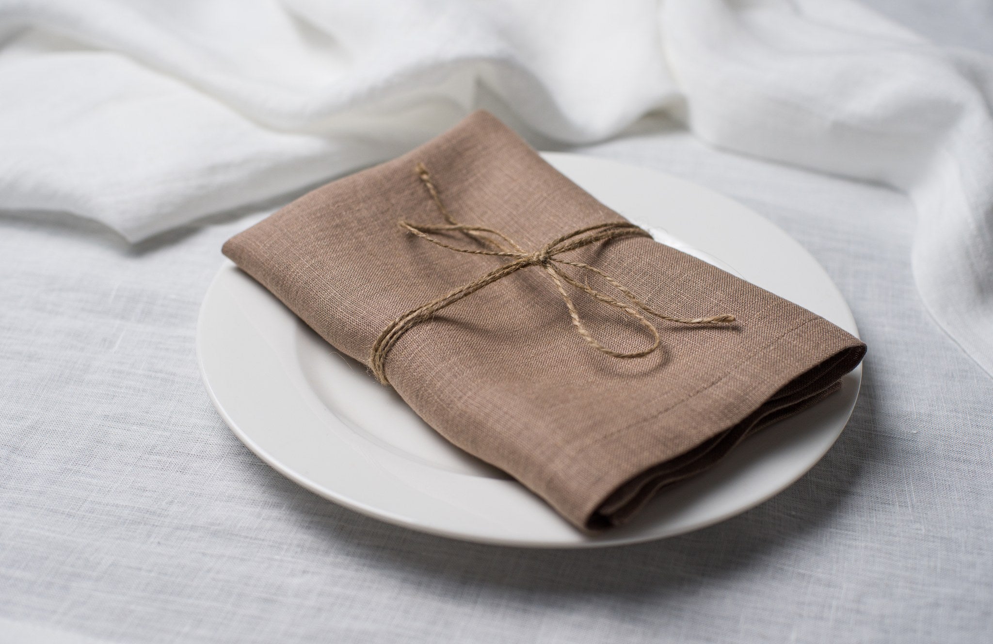 Oat linen napkin tied with jute twine on a white plate, side view