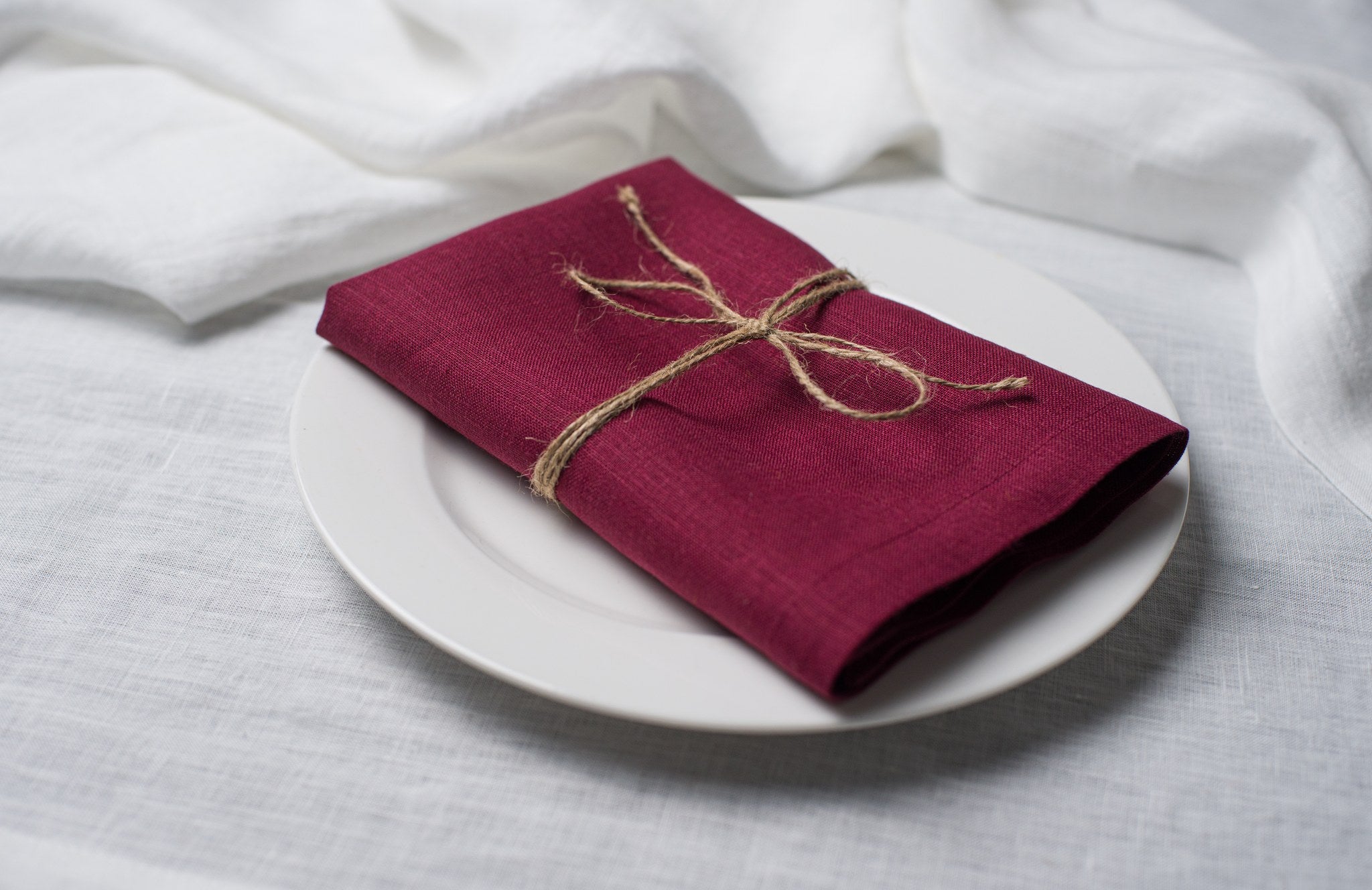 Plum linen napkin tied with jute twine on a white plate, side view