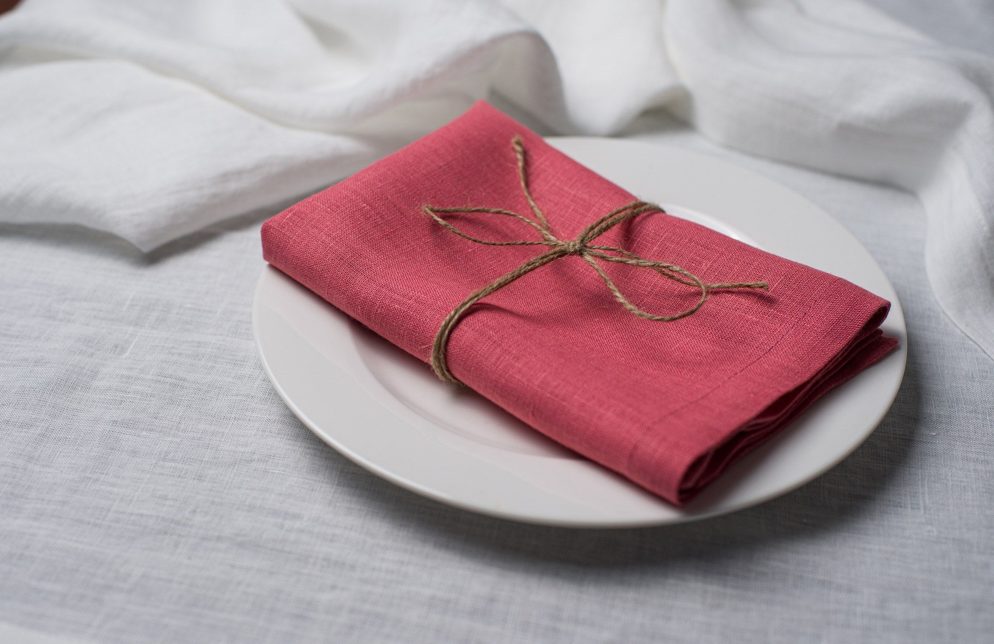 Salmon linen napkin tied with jute twine on a white plate, side view