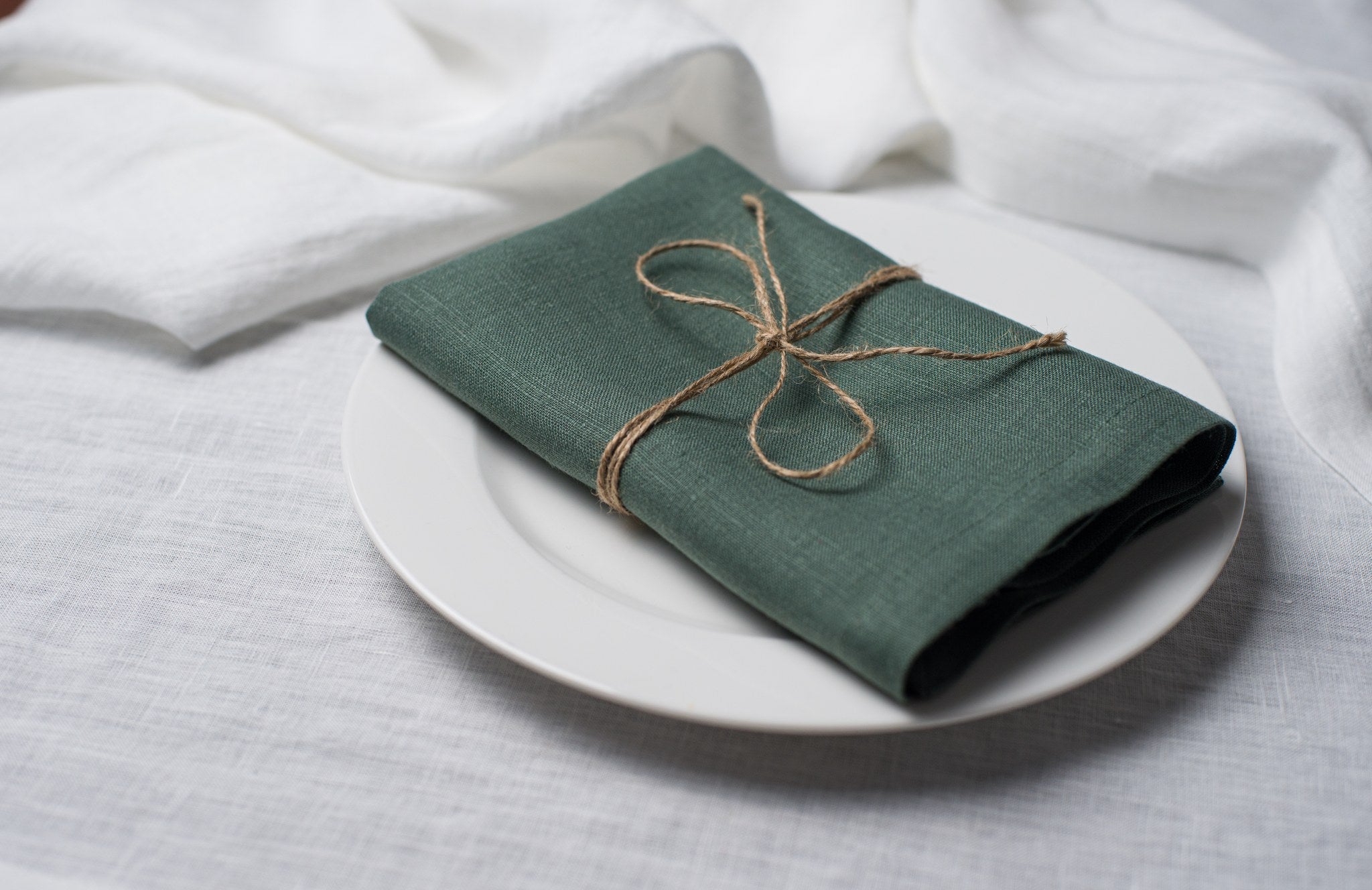 Basil linen napkin tied with jute twine on a white plate, side view