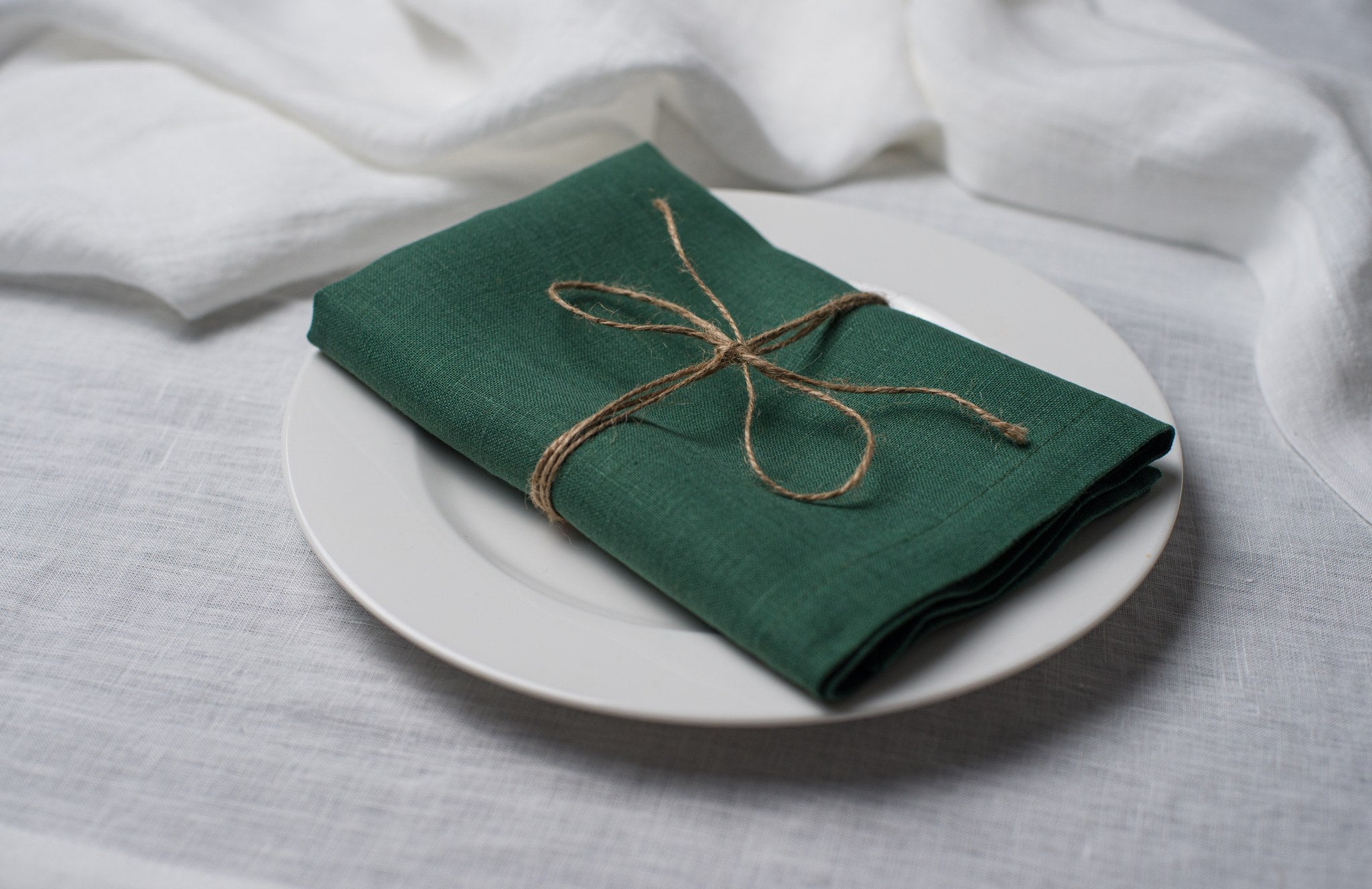 Hunter linen napkin tied with jute twine on a white plate, side view