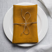Dijon linen napkin tied with jute twine on a white plate