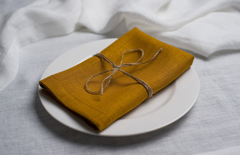 Dijon linen napkin tied with jute twine on a white plate, side view