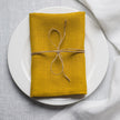 Corn linen napkin tied with jute twine on a white plate