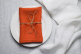 Terracotta linen napkin tied with jute twine on a white plate