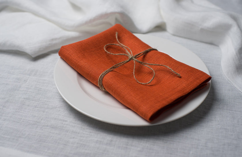 Terracotta linen napkin tied with jute twine on a white plate, side view