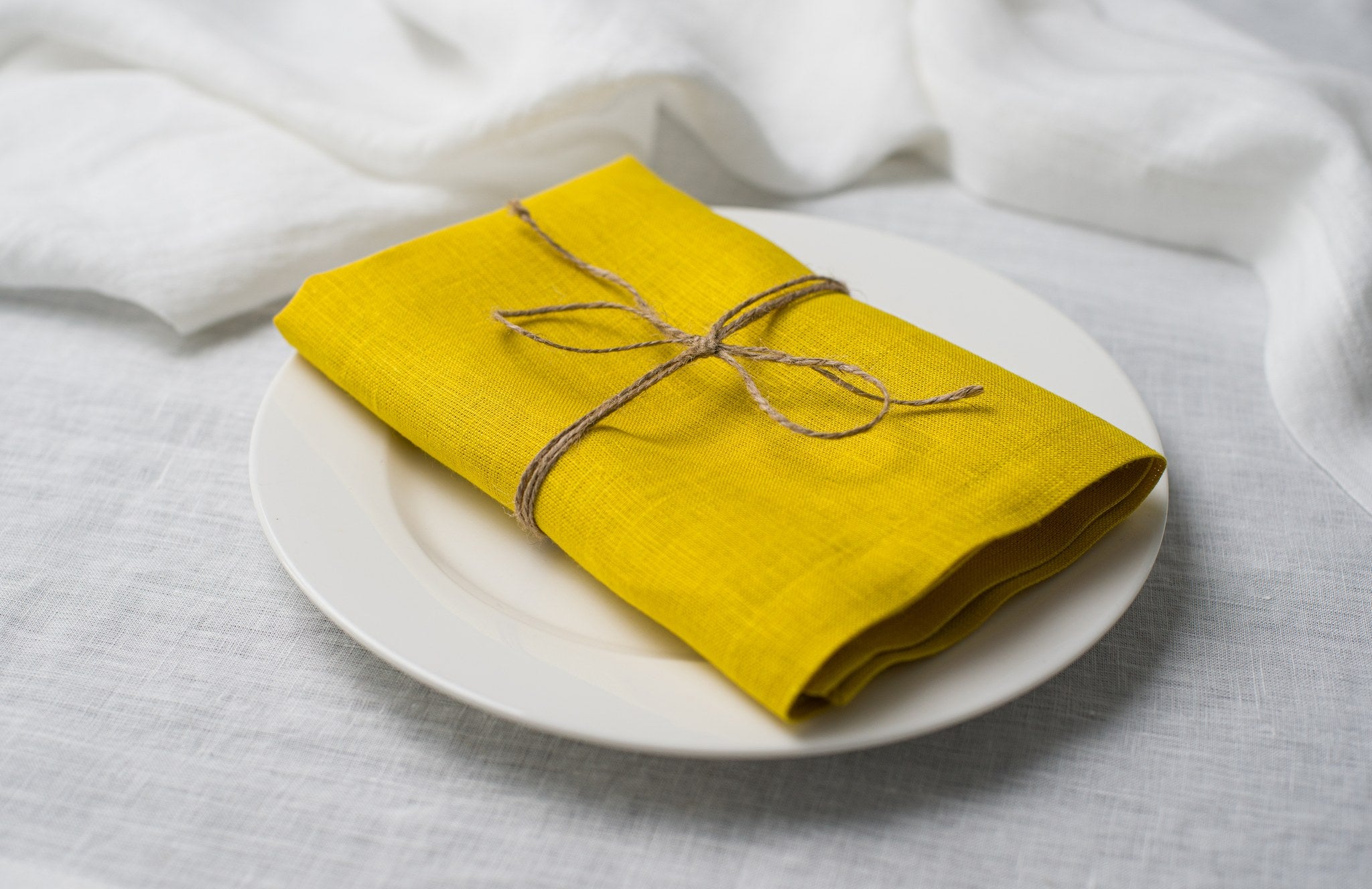 Lemon linen napkin tied with jute twine on a white plate, side view