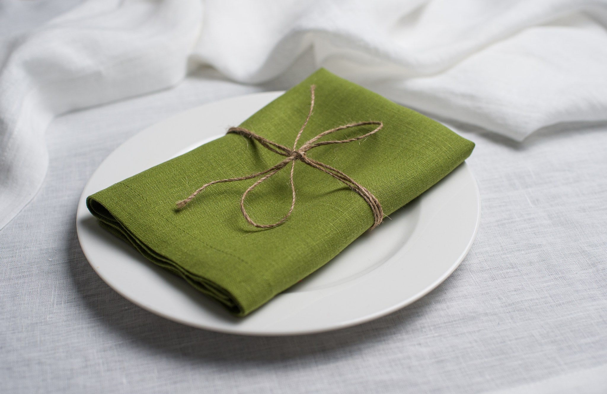 Pear linen napkin tied with jute twine on a white plate, side view